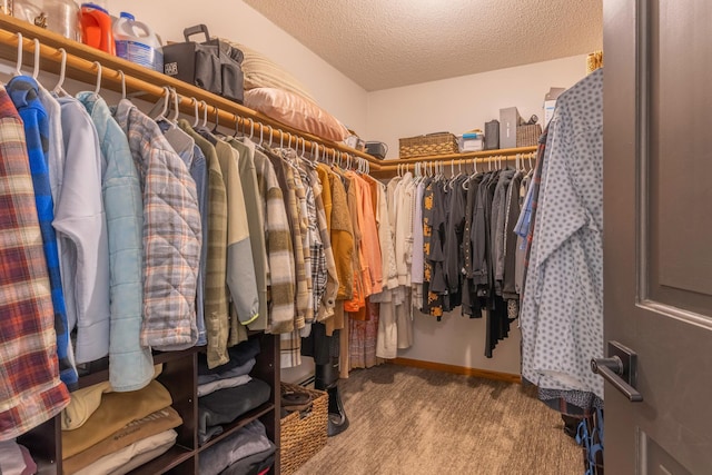 25397 Island View Dr, Cohasset, MN 55721 - spacious closet with carpet