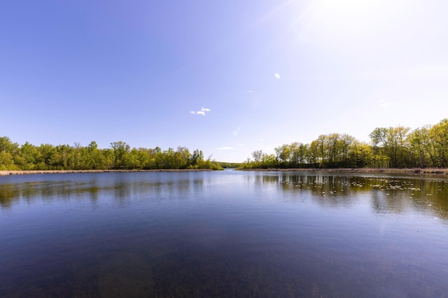 25397 Island View Dr, Cohasset, MN 55721 - water view with a heavily wooded area