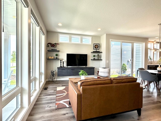 4848 161st St W, Lakeville, MN 55044 - living area featuring recessed lighting, wood finished floors, and a textured ceiling