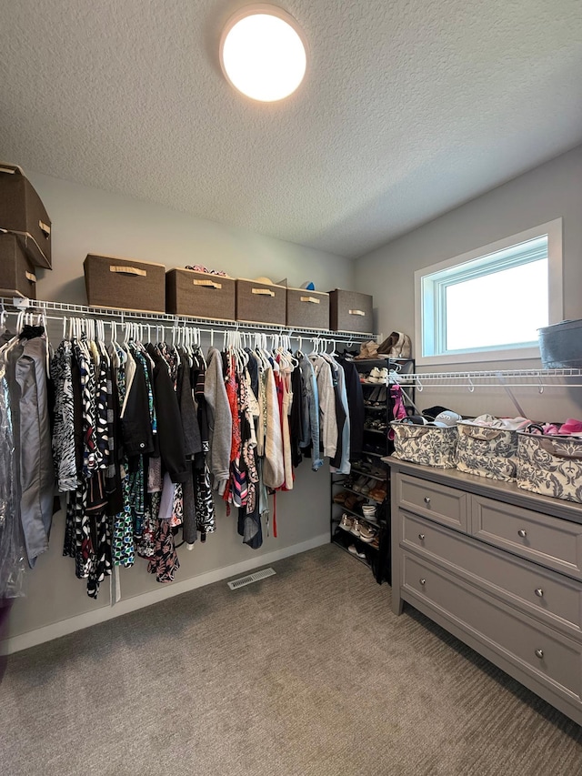 4848 161st St W, Lakeville, MN 55044 - spacious closet with carpet floors