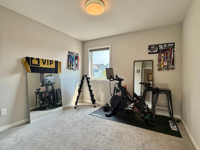 4848 161st St W, Lakeville, MN 55044 - workout area with carpet floors, a textured ceiling, and baseboards