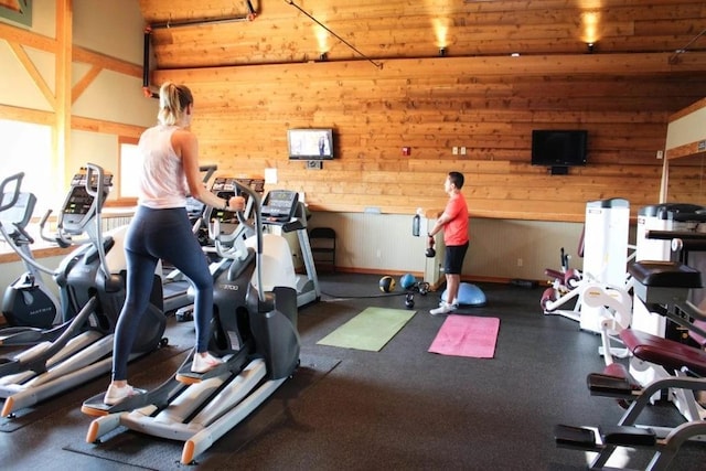 4848 161st St W, Lakeville, MN 55044 - gym with wooden walls