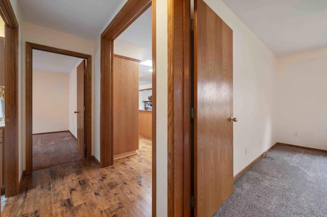 505 Superior Ave, Crosby, MN 56441 - corridor featuring carpet and wood finished floors