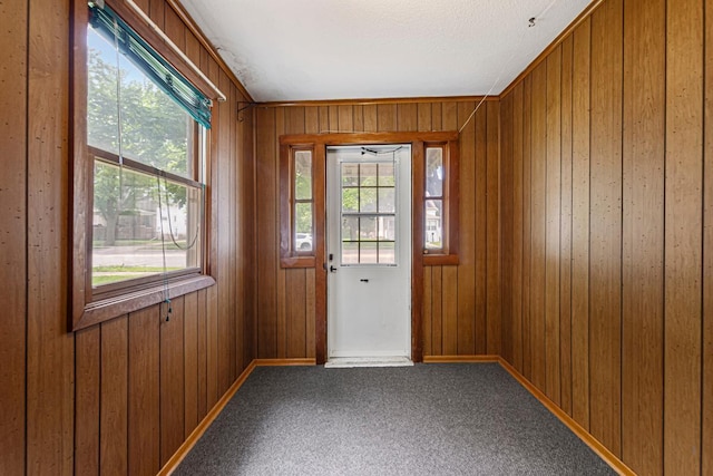 912 State St N, Waseca, MN 56093 - doorway to outside featuring plenty of natural light, wooden walls, carpet flooring, and baseboards