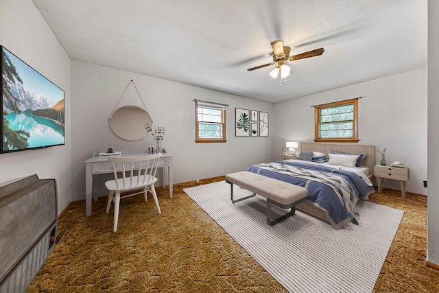 912 State St N, Waseca, MN 56093 - bedroom featuring multiple windows, carpet flooring, a ceiling fan, and baseboards