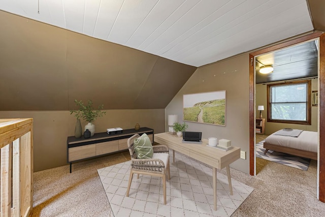 912 State St N, Waseca, MN 56093 - carpeted office with vaulted ceiling