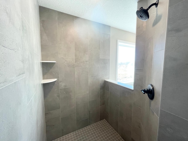 4818 163rd St N, Hugo, MN 55038 - full bathroom with tiled shower and a textured ceiling