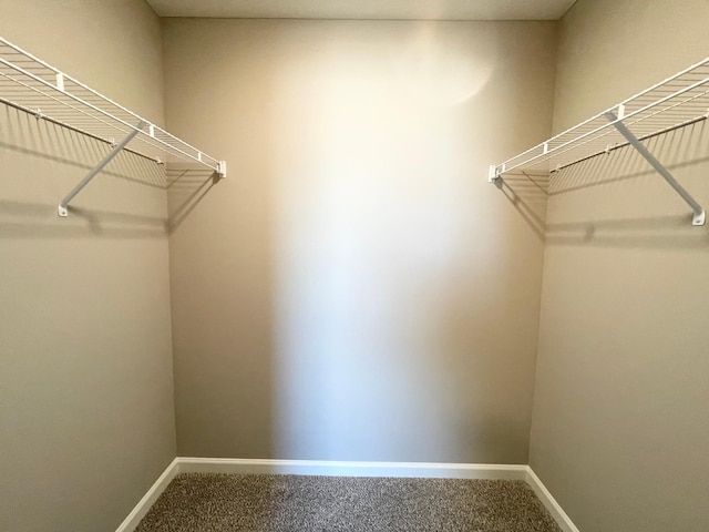 4818 163rd St N, Hugo, MN 55038 - walk in closet featuring carpet floors