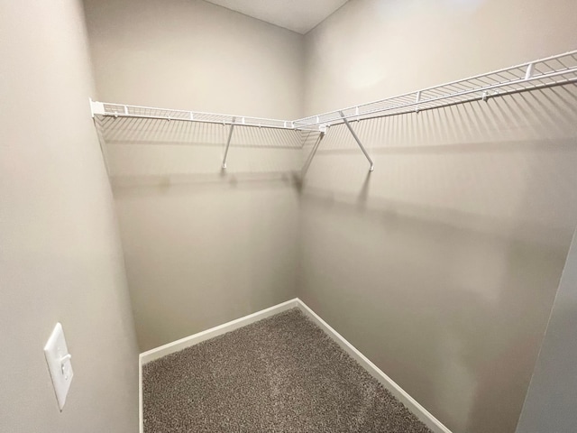 4818 163rd St N, Hugo, MN 55038 - spacious closet featuring carpet flooring
