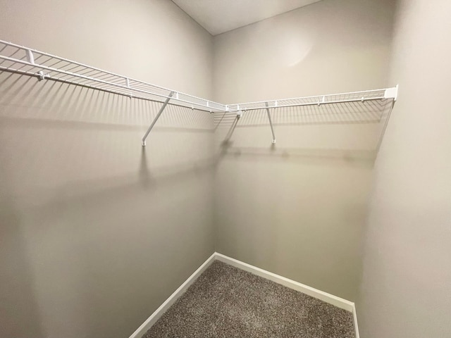 4818 163rd St N, Hugo, MN 55038 - walk in closet featuring carpet