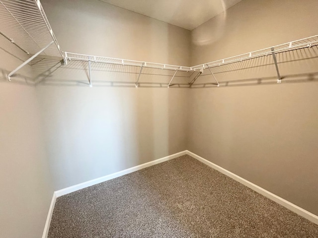 4818 163rd St N, Hugo, MN 55038 - spacious closet with carpet floors