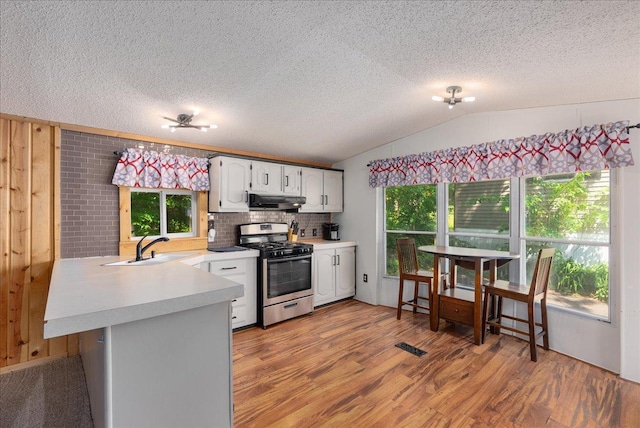 134315 Lone Pine Ln, Garfield Twp, WI 54001 - kitchen with stainless steel range with gas cooktop, under cabinet range hood, a sink, light countertops, and plenty of natural light