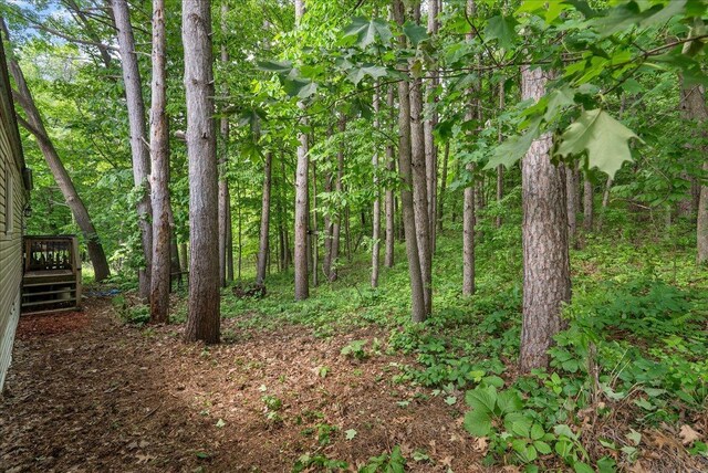 134315 Lone Pine Ln, Garfield Twp, WI 54001 - view of undeveloped land