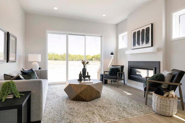 12443 Drayton Trl, Apple Valley, MN 55124 - living room with a glass covered fireplace, wood finished floors, recessed lighting, and baseboards