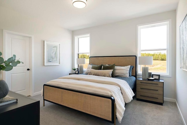12443 Drayton Trl, Apple Valley, MN 55124 - bedroom with carpet floors and baseboards