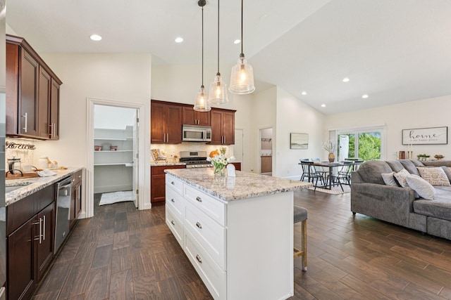 7482 250th St, New Market Twp, MN 55020 - kitchen with stainless steel appliances, high vaulted ceiling, open floor plan, a kitchen breakfast bar, and dark wood-style flooring