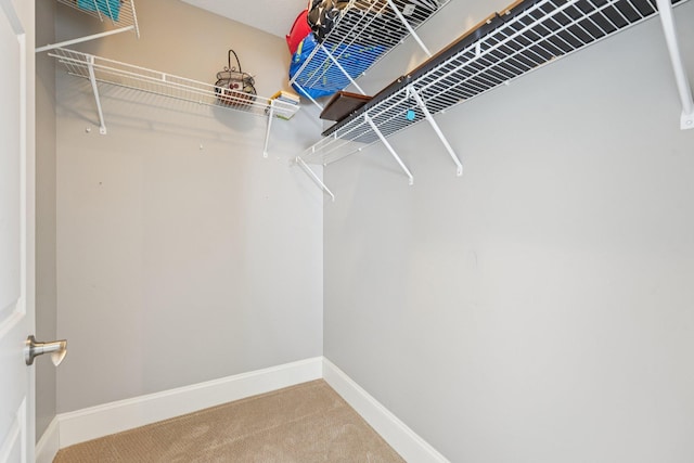 7482 250th St, New Market Twp, MN 55020 - spacious closet featuring carpet