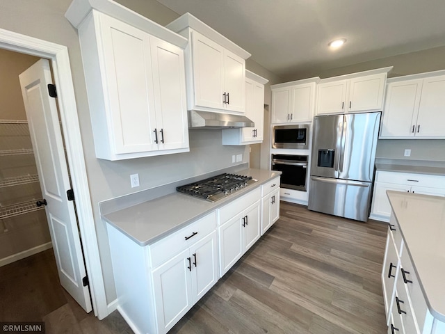16290 Fairoaks Ave N, Hugo, MN 55038 - kitchen featuring appliances with stainless steel finishes, under cabinet range hood, light countertops, and recessed lighting