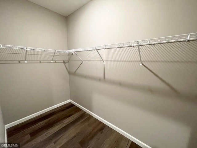 16290 Fairoaks Ave N, Hugo, MN 55038 - walk in closet featuring dark wood-style floors