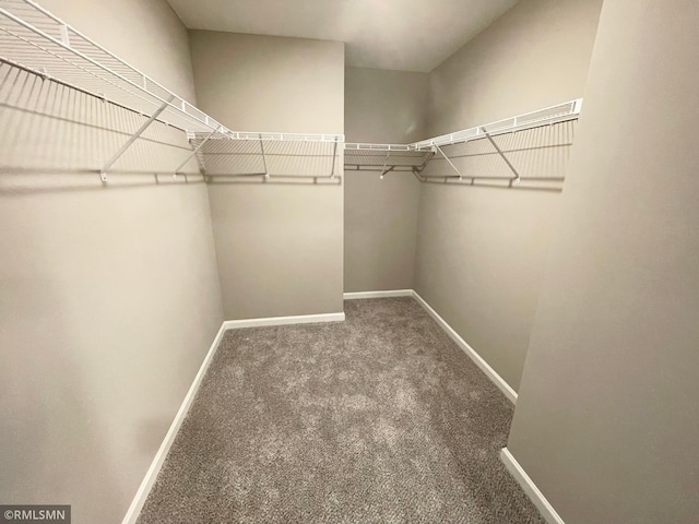 16290 Fairoaks Ave N, Hugo, MN 55038 - spacious closet with carpet