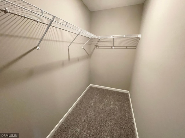 16290 Fairoaks Ave N, Hugo, MN 55038 - spacious closet featuring carpet floors