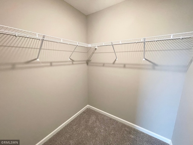16290 Fairoaks Ave N, Hugo, MN 55038 - spacious closet with carpet floors