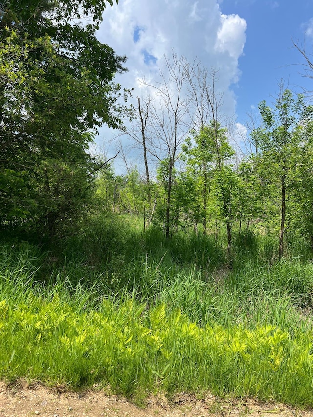 TBD Gumwood Ln, Scandia Valley Twp, MN 56466