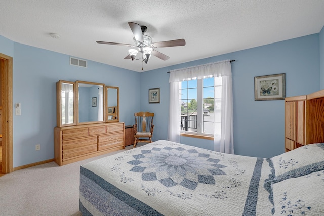 10777 181st Cir NW, Elk River, MN 55330 - carpeted bedroom with a textured ceiling and a ceiling fan