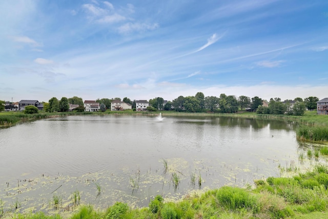 10777 181st Cir NW, Elk River, MN 55330 - water view