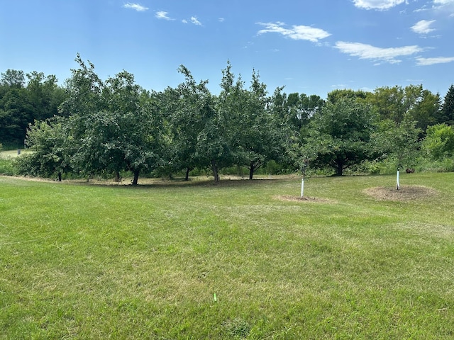 1755 Chateau Way, Minnetrista, MN 55359 - view of grassy yard