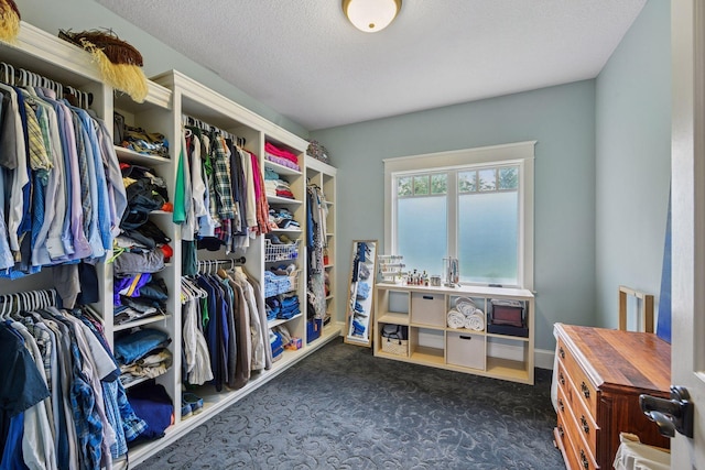 1755 Chateau Way, Minnetrista, MN 55359 - spacious closet with dark carpet