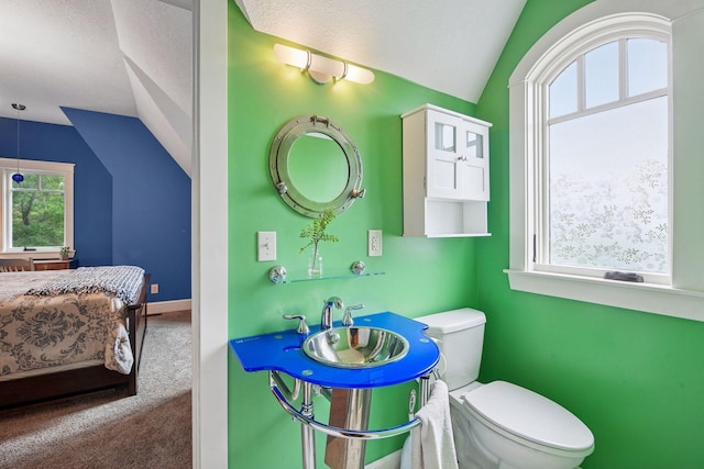1755 Chateau Way, Minnetrista, MN 55359 - half bath featuring vaulted ceiling and ensuite bathroom