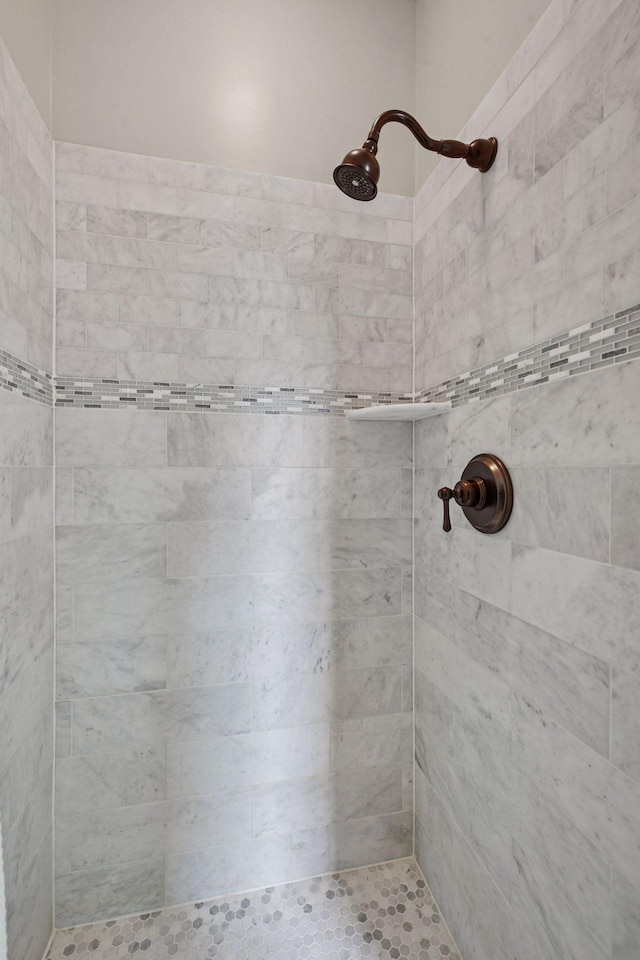 1755 Chateau Way, Minnetrista, MN 55359 - full bathroom with a tile shower
