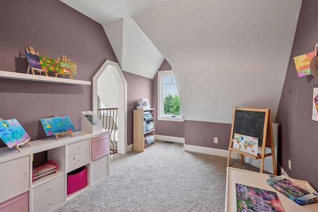 1755 Chateau Way, Minnetrista, MN 55359 - office space with lofted ceiling and light carpet