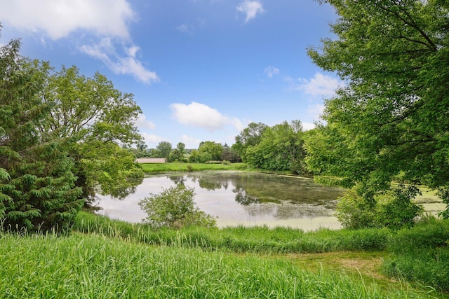 1755 Chateau Way, Minnetrista, MN 55359 - water view