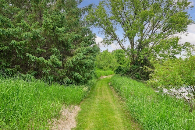 1755 Chateau Way, Minnetrista, MN 55359 - view of local wilderness