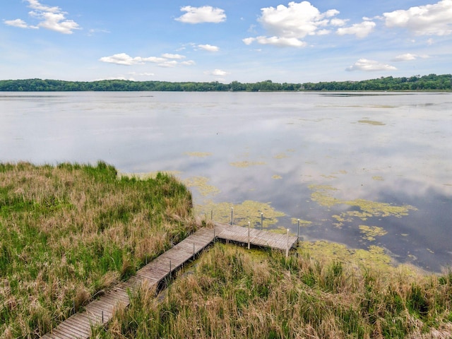 1755 Chateau Way, Minnetrista, MN 55359 - water view with a dock