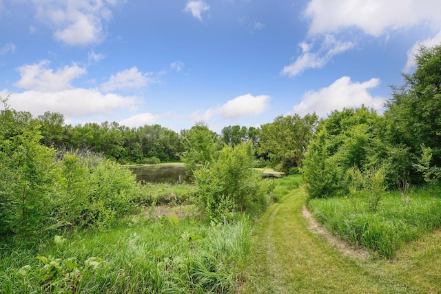 1755 Chateau Way, Minnetrista, MN 55359 - view of woods
