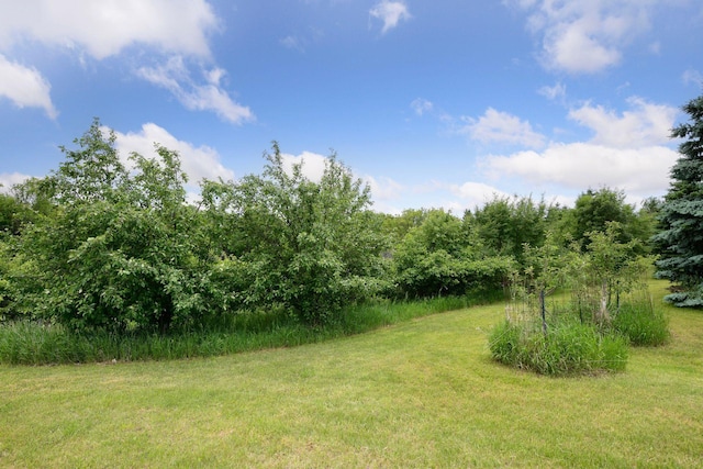 1755 Chateau Way, Minnetrista, MN 55359 - view of grassy yard