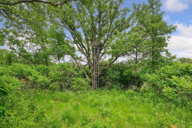 1755 Chateau Way, Minnetrista, MN 55359 - view of local wilderness