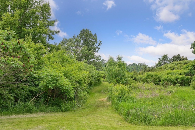 1755 Chateau Way, Minnetrista, MN 55359 - view of tree filled area