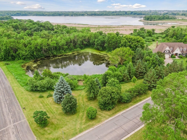 1755 Chateau Way, Minnetrista, MN 55359 - bird's eye view of a nearby body of water