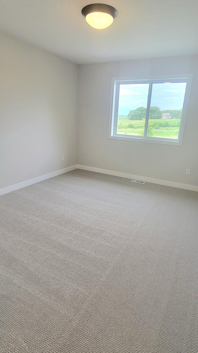 2016 Tamarack Rd, Carver, MN 55315 - photo 22