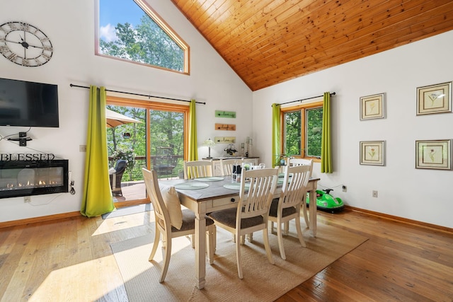 43190 Government Rd, Hinckley, MN 55037 - dining room with high vaulted ceiling, plenty of natural light, hardwood / wood-style flooring, and a glass covered fireplace