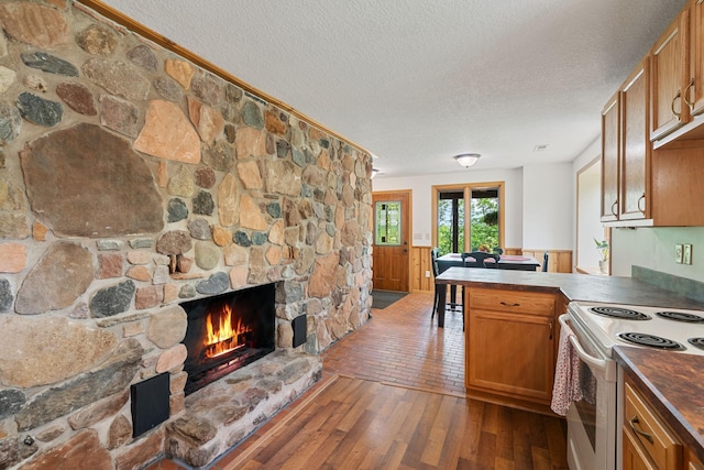 43190 Government Rd, Hinckley, MN 55037 - kitchen with a fireplace, a textured ceiling, a peninsula, a wainscoted wall, and wood finished floors