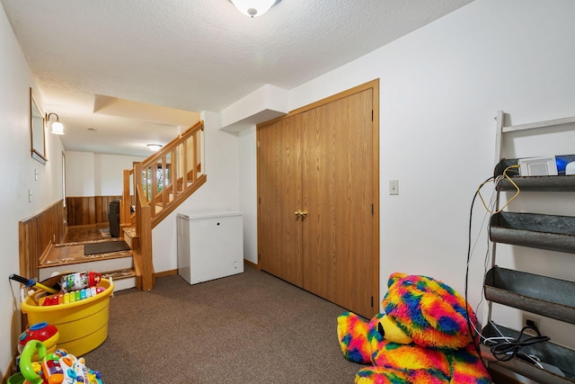43190 Government Rd, Hinckley, MN 55037 - recreation room featuring carpet floors and a textured ceiling