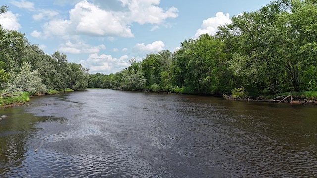 43190 Government Rd, Hinckley, MN 55037 - water view with a heavily wooded area
