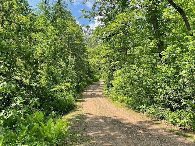 43190 Government Rd, Hinckley, MN 55037 - view of street featuring a wooded view