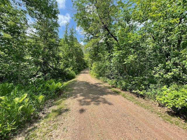 43190 Government Rd, Hinckley, MN 55037 - view of dirt / gravel road with a forest view