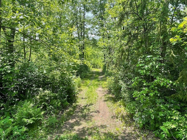43190 Government Rd, Hinckley, MN 55037 - view of tree filled area